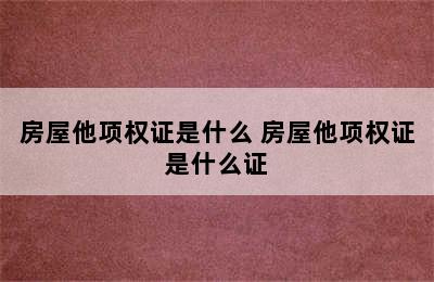 房屋他项权证是什么 房屋他项权证是什么证